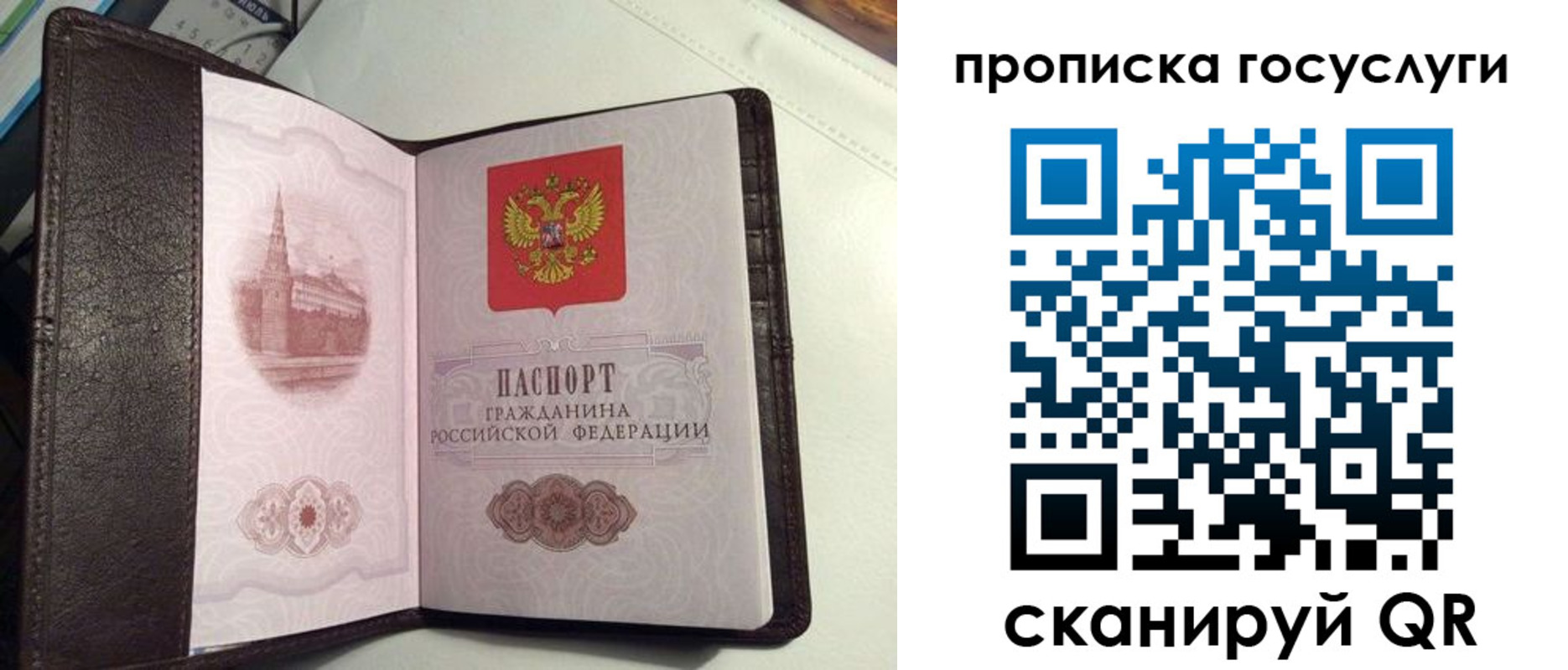 временная прописка в Светлом